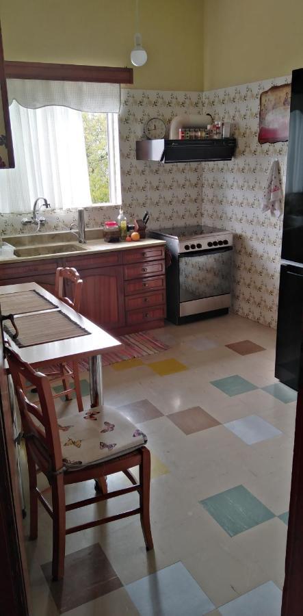 아테네 Ομορφο Διαμερισμα Με Μεγαλες Βεραντες 아파트 외부 사진